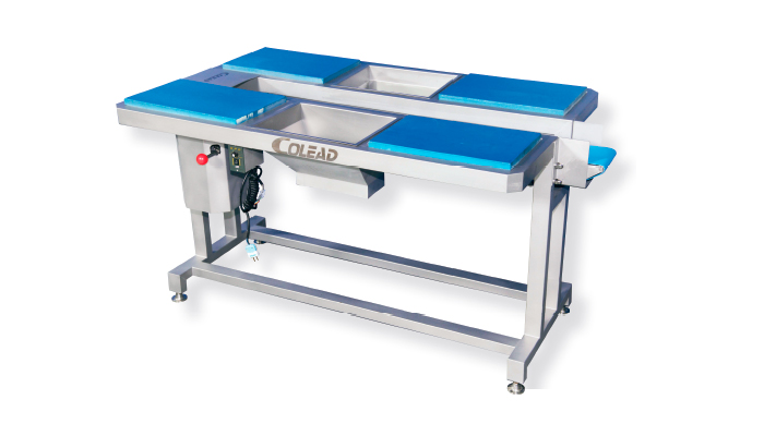 Single Conveyor Workstation